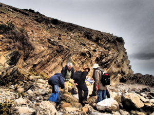 Cambrian Palaeobiology of South Australia with Sarah Jacquet