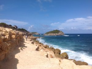 Geology of a Caribbean gem: Antigua (Northern Lesser Antilles) with Brechtje Brons and Koen van der Looij